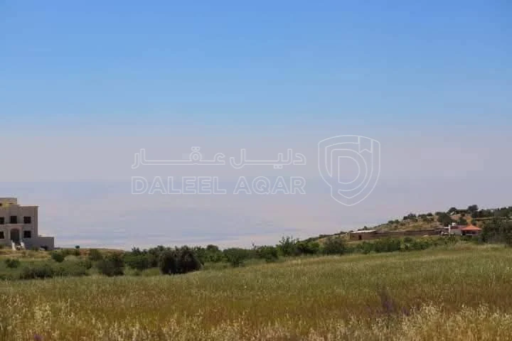 أرض في مادبا - الفيصلية  - 85,000 دأ - صورة 1